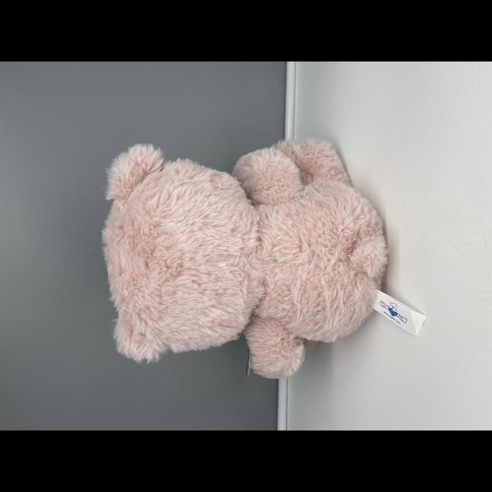 NWT Plush Eco by HugFun Pink Eco Bear Made from Recycled Plastic Bottle HTF* - Picture 3 of 8